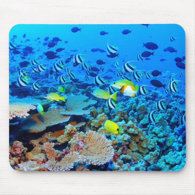 Mousepad Recife francês dos bancos de areia da fragata com (Frente)