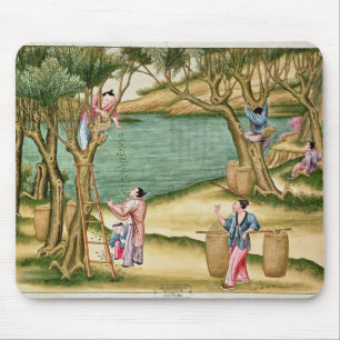Mousepad Recolhendo mulberries