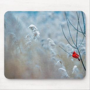 Mousepad Red Cardinal no inverno Foto do Natal