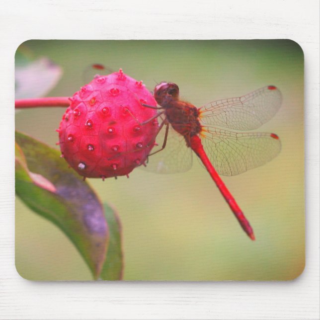 Mousepad Red Dragonfly Nature (Frente)