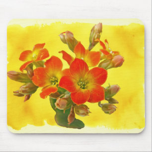Mousepad Red Kalanchoe - Sunshine Suculenta