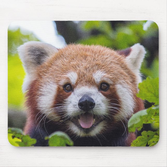 Mousepad Red Panda (Frente)