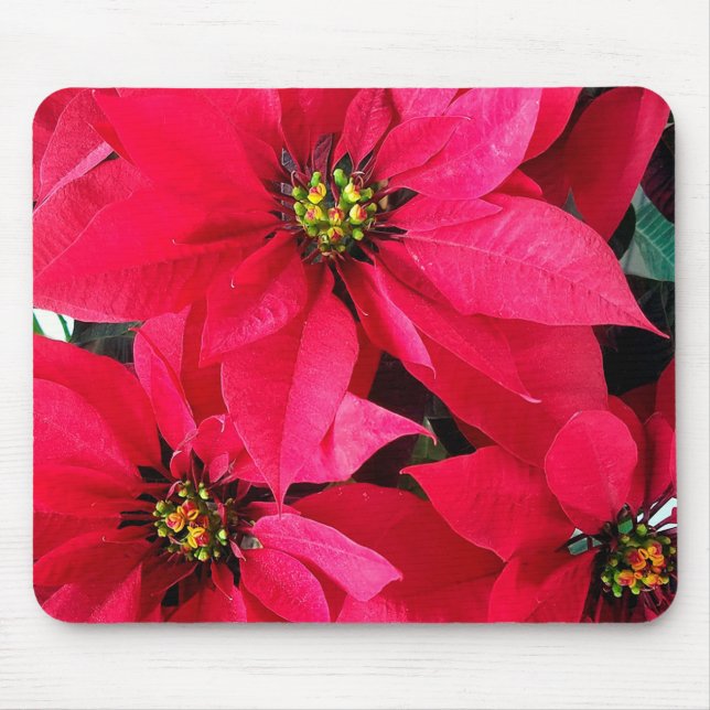 Mousepad Red Poinsettias (Frente)