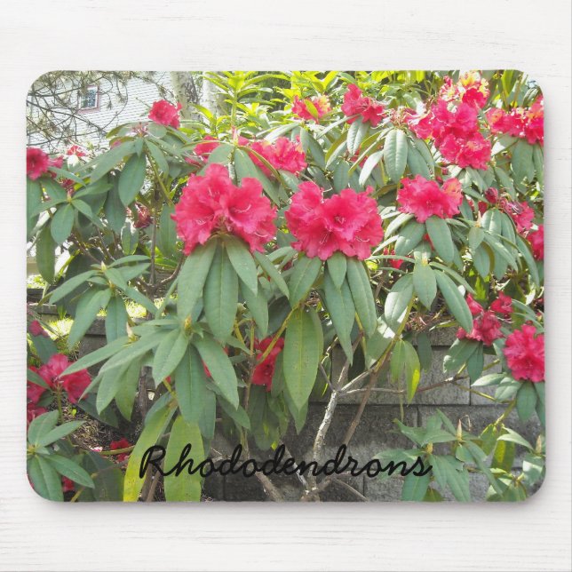 Mousepad Red Rhododendrons (Frente)