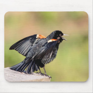 Mousepad Red Winged Blackbird Singing