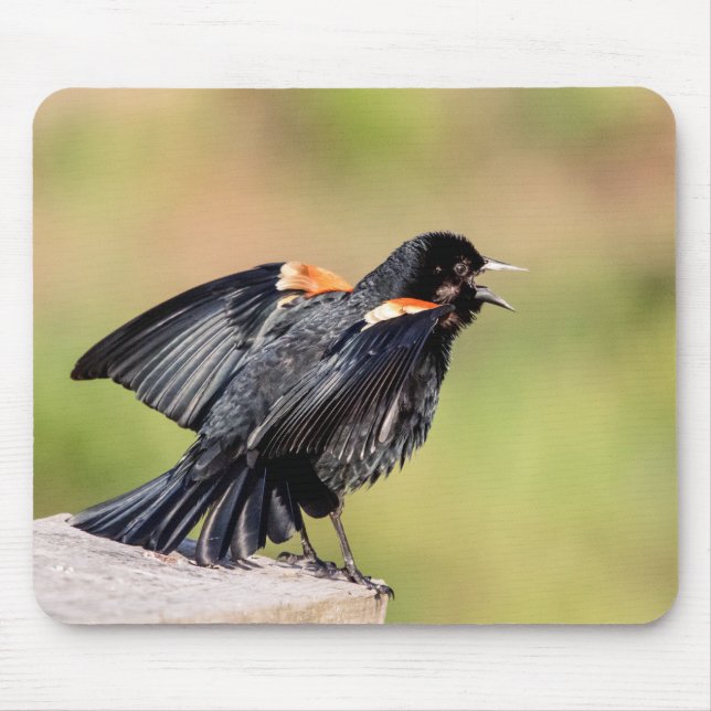 Mousepad Red Winged Blackbird Singing (Frente)
