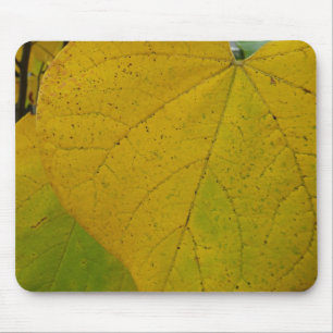 Mousepad Redbud Amarelo deixa fotografia do outono