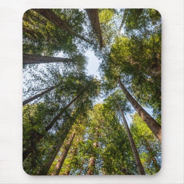 Mousepad Redwood National and State Parks, Califórnia (Frente)