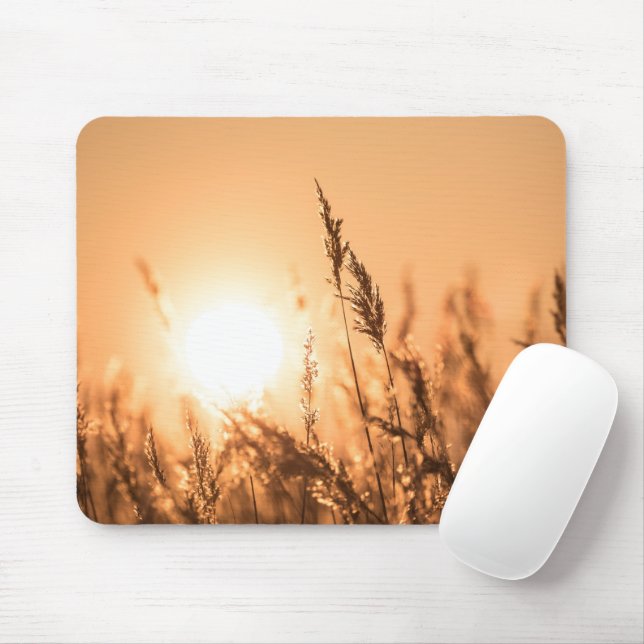 Mousepad Reed Sunset Nature Photo (Com mouse)
