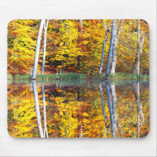 Mousepad Reflexão do outono