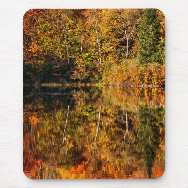 Mousepad Reflexão do outono sobre Coffin Pond (Frente)