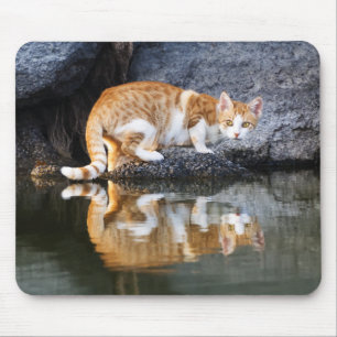 Mousepad Reflexão Gato em Pond Water Animal Photo,