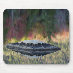 Mousepad Reflexo de rocha e árvore, Lily Pond, Branco