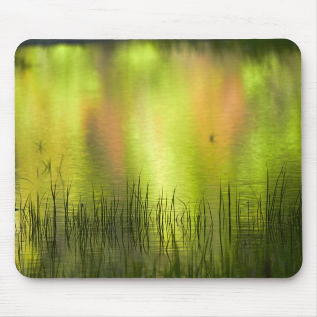 Mousepad Reflexos no Lago Espelho | Yosemite (Frente)