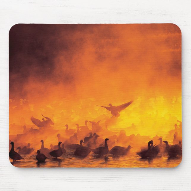 Mousepad Refúgio Nacional de Vida Selvagem Bosque del Apach (Frente)
