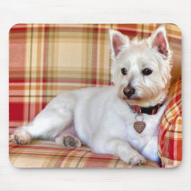 Mousepad Regaço do luxo (Frente)