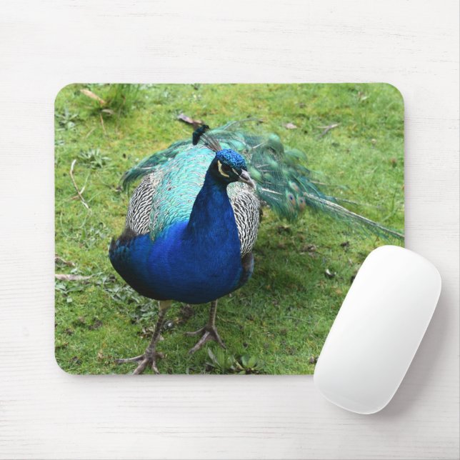 Mousepad Regal Peacock Power (Com mouse)