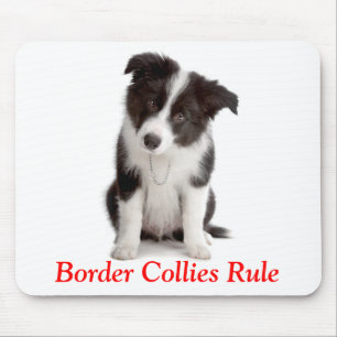 Mousepad Regra de Collies de Borda Cachorros Cachorros Cach