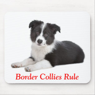 Mousepad Regra de Collies de Borda Cachorros Cachorros Cach