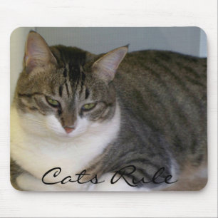 Mousepad Regra dos gatos