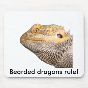 Mousepad "Regra farpada dos dragões!" tapete do rato
