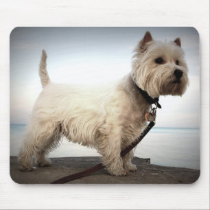 Mousepad Rei Barko