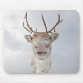 Mousepad Reindeer Nature Photo