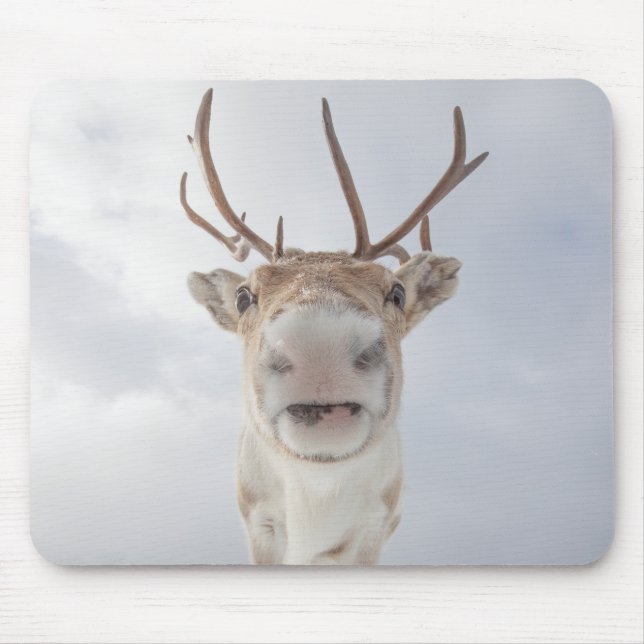 Mousepad Reindeer Nature Photo (Frente)