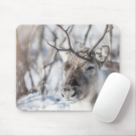 Mousepad Reindeer Nature Photo