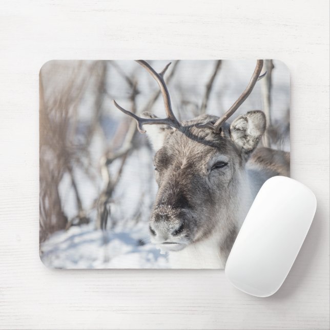 Mousepad Reindeer Nature Photo (Com mouse)
