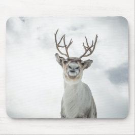 Mousepad Reindeer Nature Photo