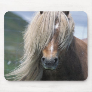 Mousepad Reino Unido, Escócia, Ilhas Shetland, pônei Shetla