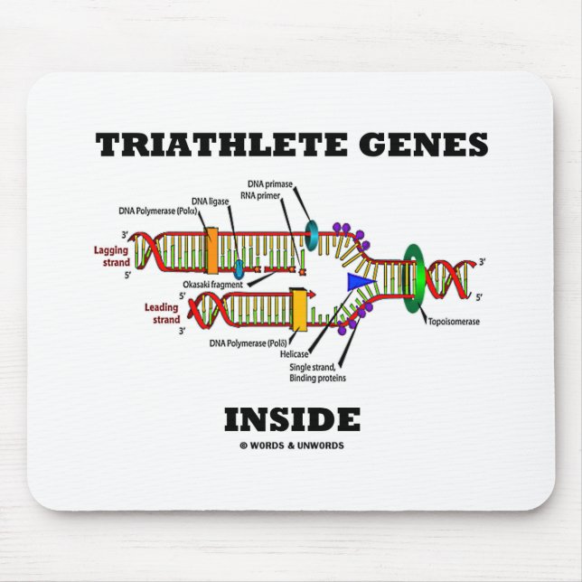 Mousepad Replicação de DNA Dentro do Triathlete Genes (Frente)