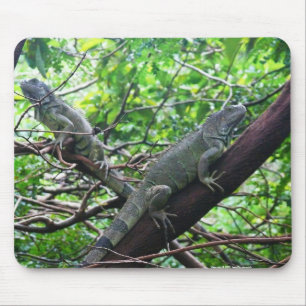 Mousepad Repose do Reptilian