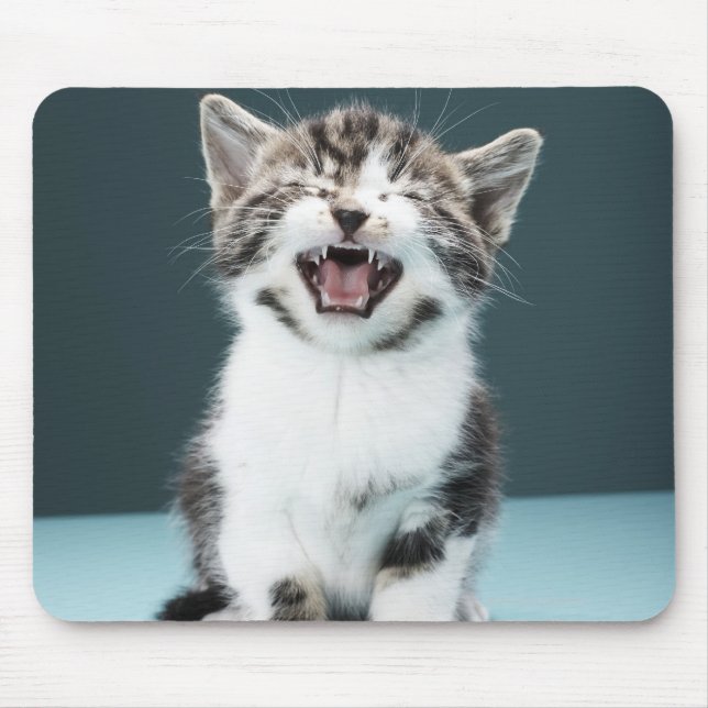Mousepad Reprodução de Kitten (Frente)