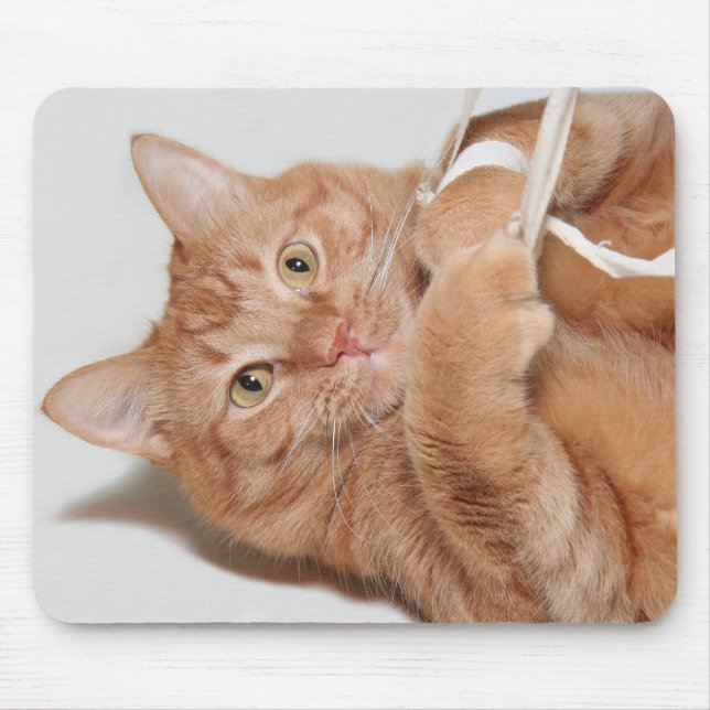 Mousepad Reproduções de gatinho (Frente)