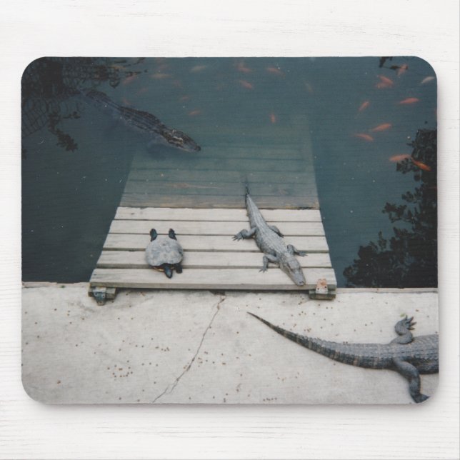 Mousepad Répteis (Frente)