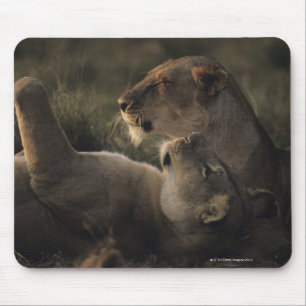 Mousepad Reserva nacional 7 de Mara do Masai