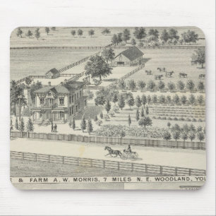 Mousepad Residências florestais, fazendas