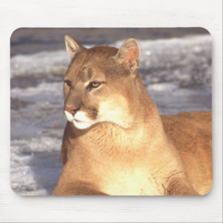 Mousepad Resto do puma