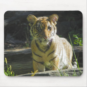 Mousepad Retrato 4 de Cub de tigre
