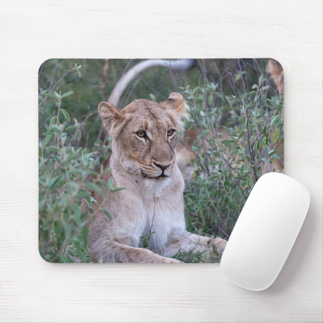 Mousepad Retrato Africano da Vida Selvagem em Descanso (Com mouse)