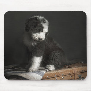 Mousepad Retrato Bobtail do filhote de cachorro no estúdio