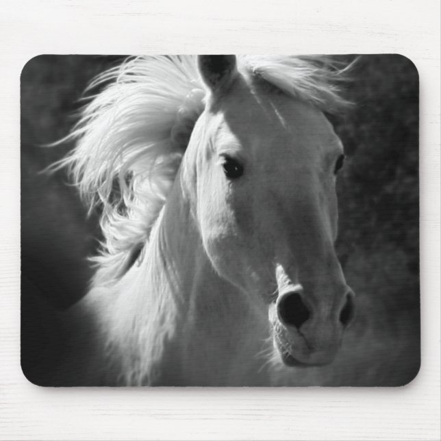 Mousepad Retrato Cavalo V (Frente)