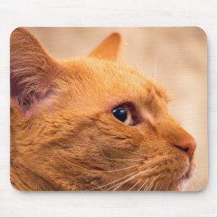 Mousepad Retrato da Curiosa Foto da Natureza do Gato de Tab