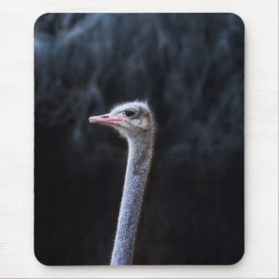 Mousepad retrato de avestruz