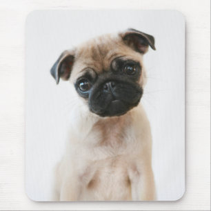 Mousepad Retrato de Baby Pug