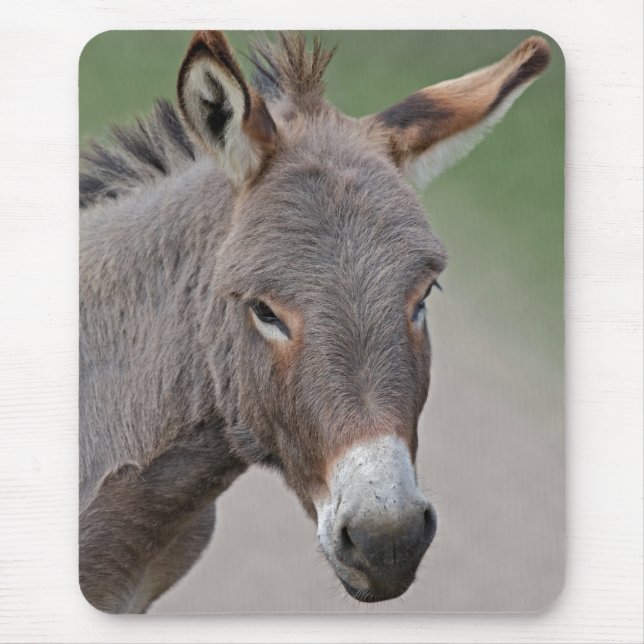 Mousepad Retrato de Burro Tapete de Rato (Frente)
