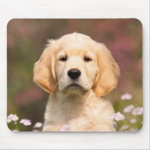 Mousepad Retrato De Cachorro De Ouro Bonito,