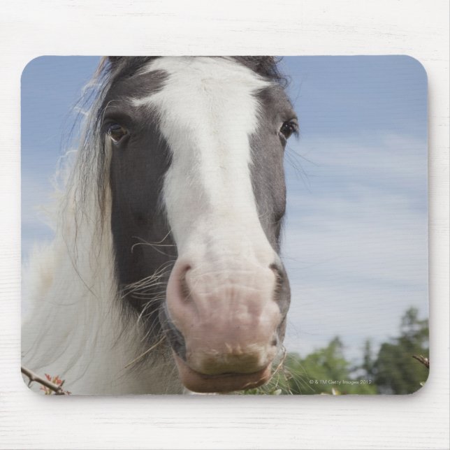 Mousepad Retrato de cavalo Clydesdale (Frente)